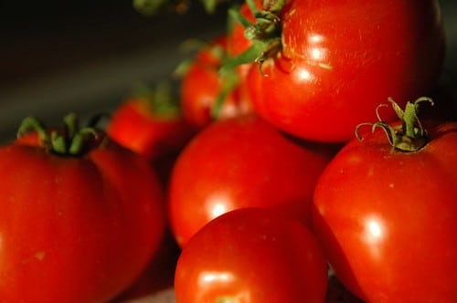 fungicide for tomato
