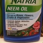 neem oil as a fungicide