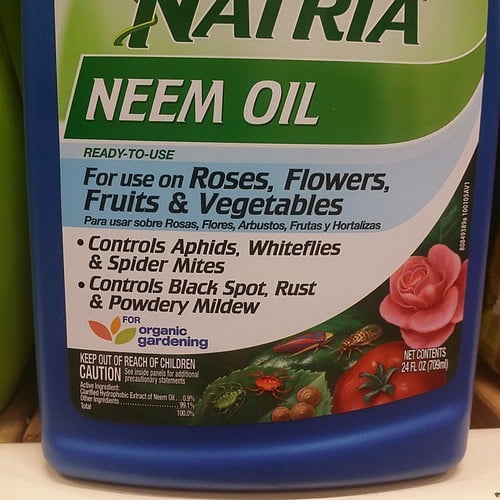 From Ancient Roots to Modern Gardens: Neem Oil as a Fungicide